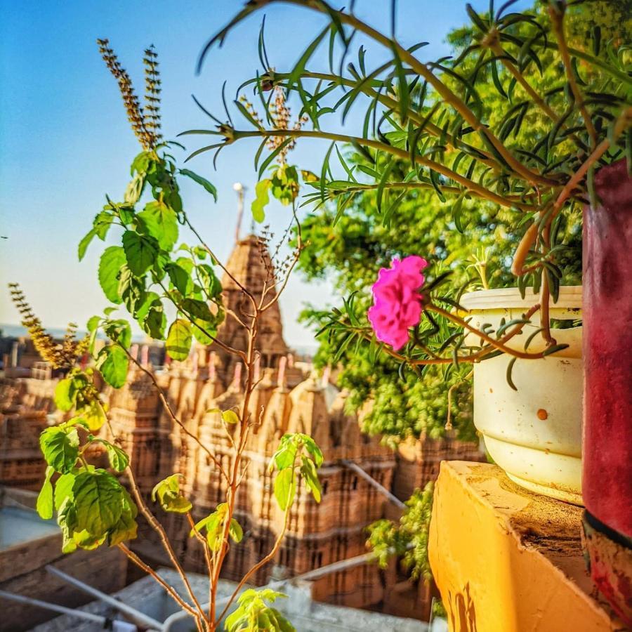 Mud Mirror Guesthouse Jaisalmer Bagian luar foto